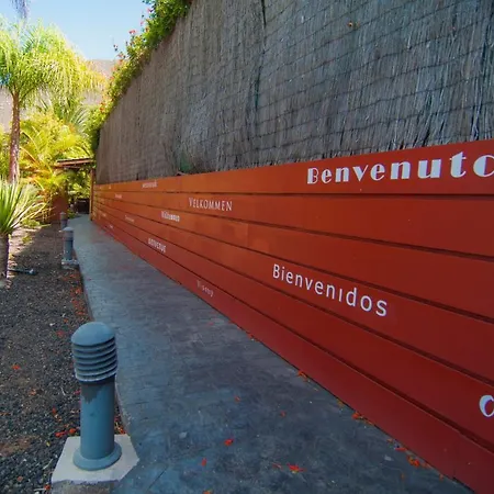 El Rincón Del Huroncillo Tejina